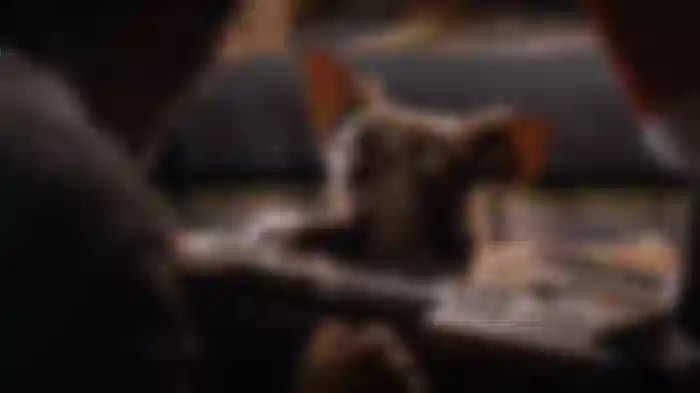 Gremlins